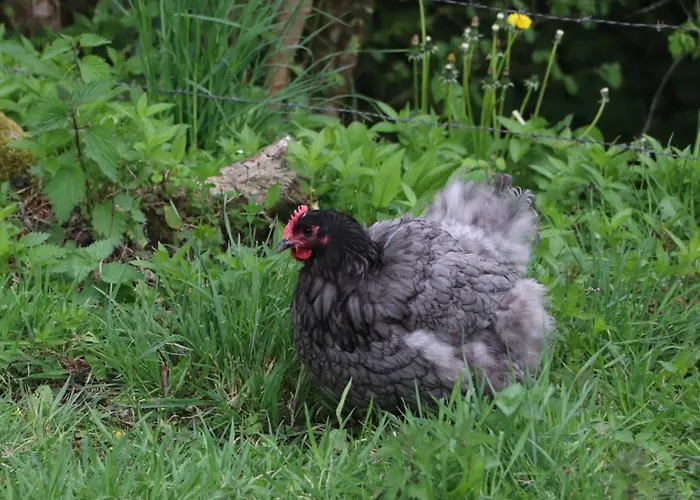 Maison Independante Avec Vue Exceptionnelle Au Pays D'auge - Fr-1-497-259 別荘